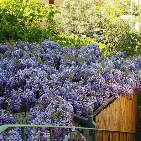 Le Coteau Del Aime Toulon